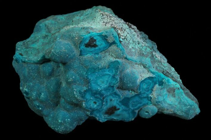 Turquoise Blue, Botryoidal Chrysocolla - Congo #69788